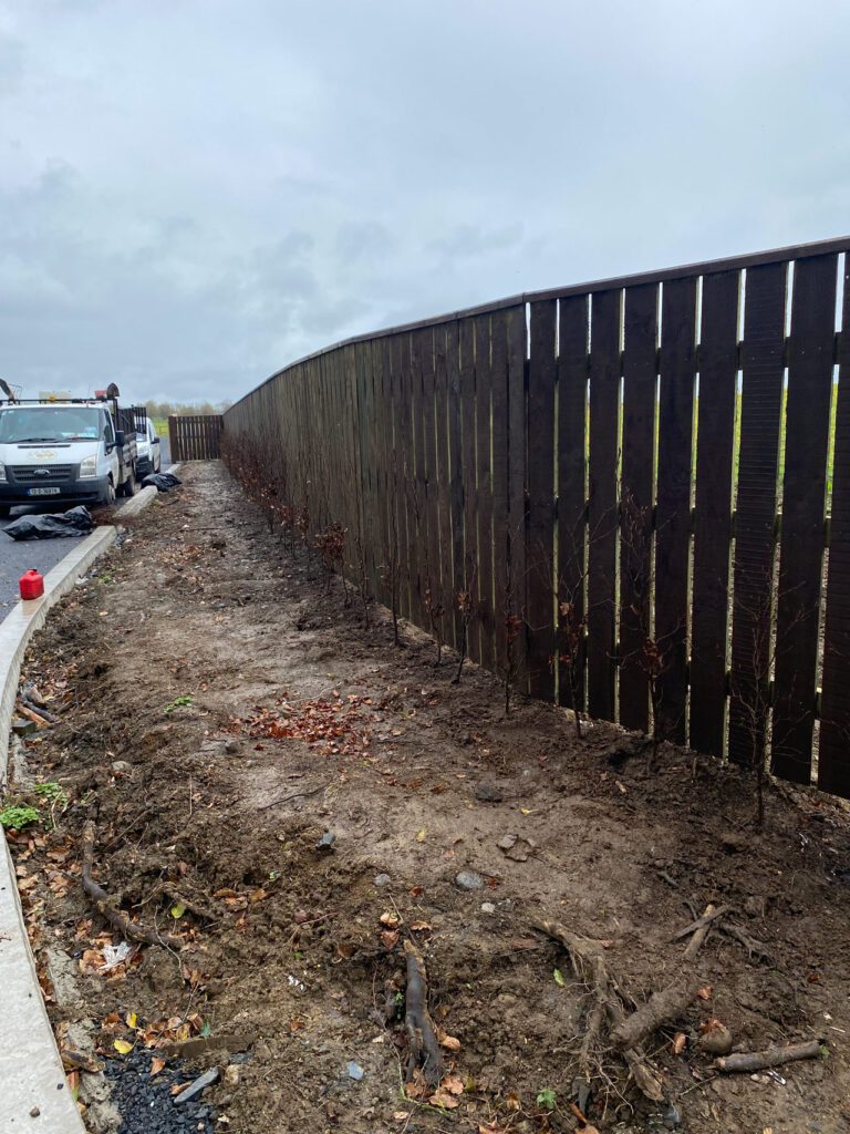 Punchestown Racecourse Dublin Road Entrance - landscaped by Oak Lodge Landscapes