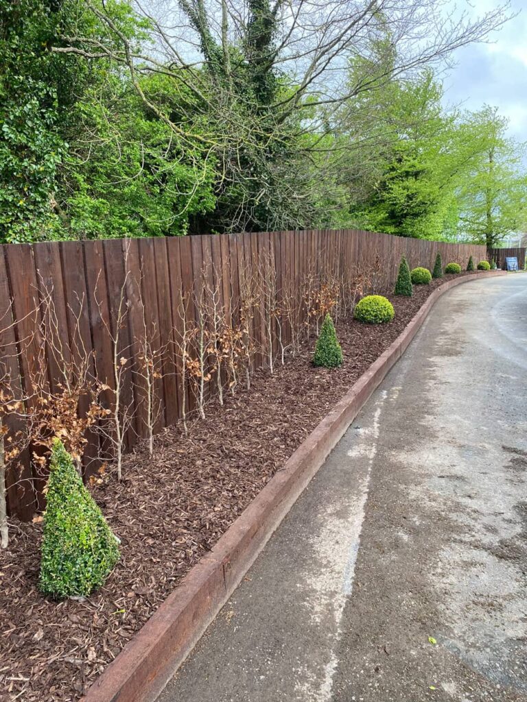 Punchestown Racecourse Dublin Road Entrance - landscaped by Oak Lodge Landscapes