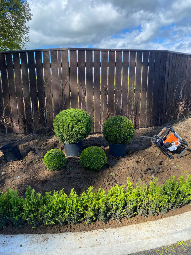 Punchestown Racecourse Entrance - landscaped by Oak Lodge Landscapes